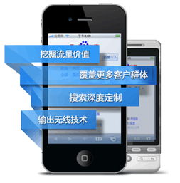專業(yè)網(wǎng)站建設(shè)代理服務(wù) 手機網(wǎng)站與微信網(wǎng)站一站式解決方案